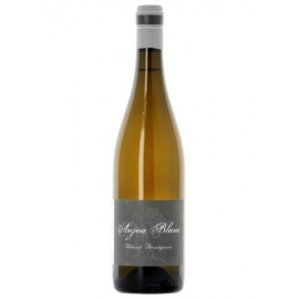 Domaine Thibaud Boudignon - Anjou - Blanc - 2022