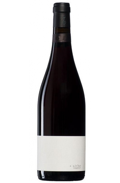 Domaine Trapet - Bourgogne Pinot Noir 2017