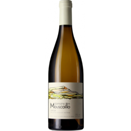 Domaine de Mouscaillo - Limoux - Blanc - 2021
